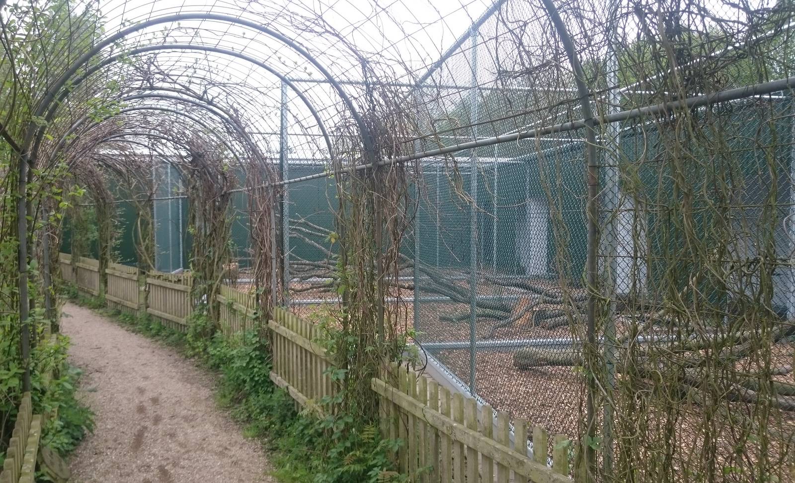 New aviaries under construction