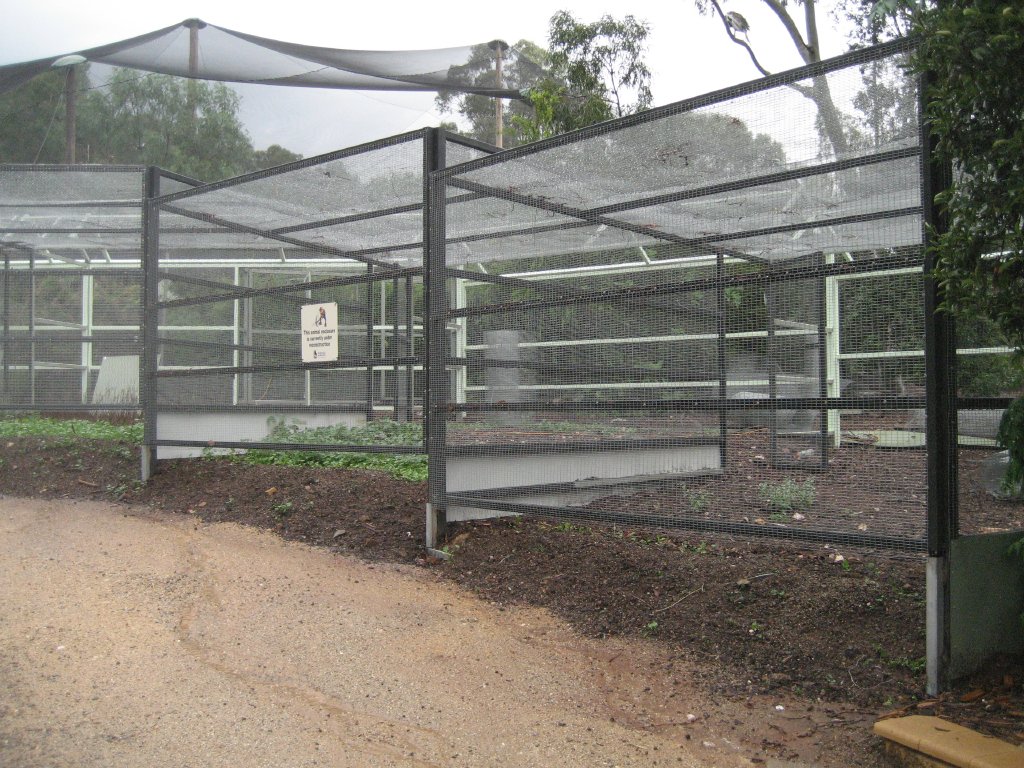 New Aviaries under construction