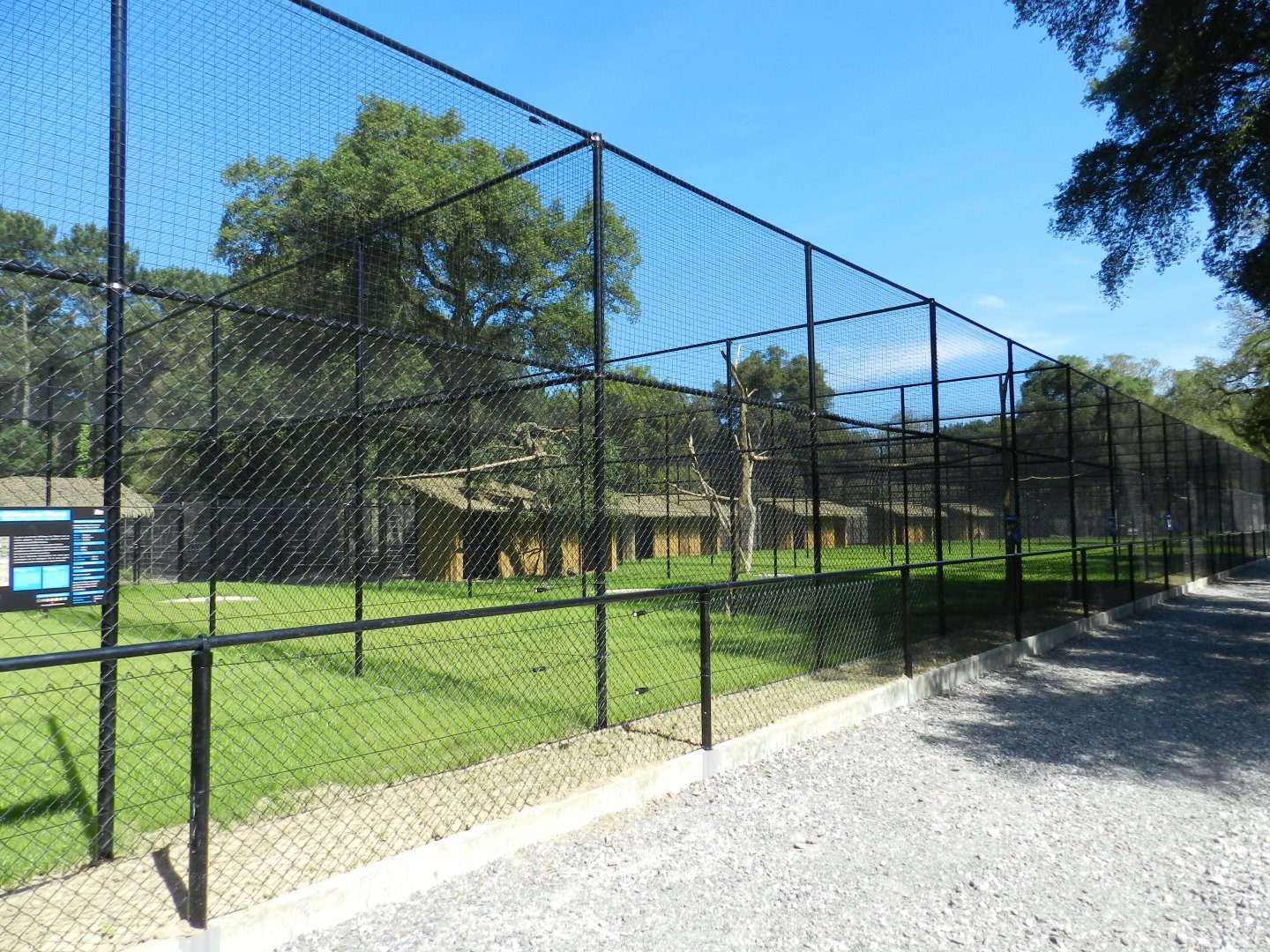 New aviaries