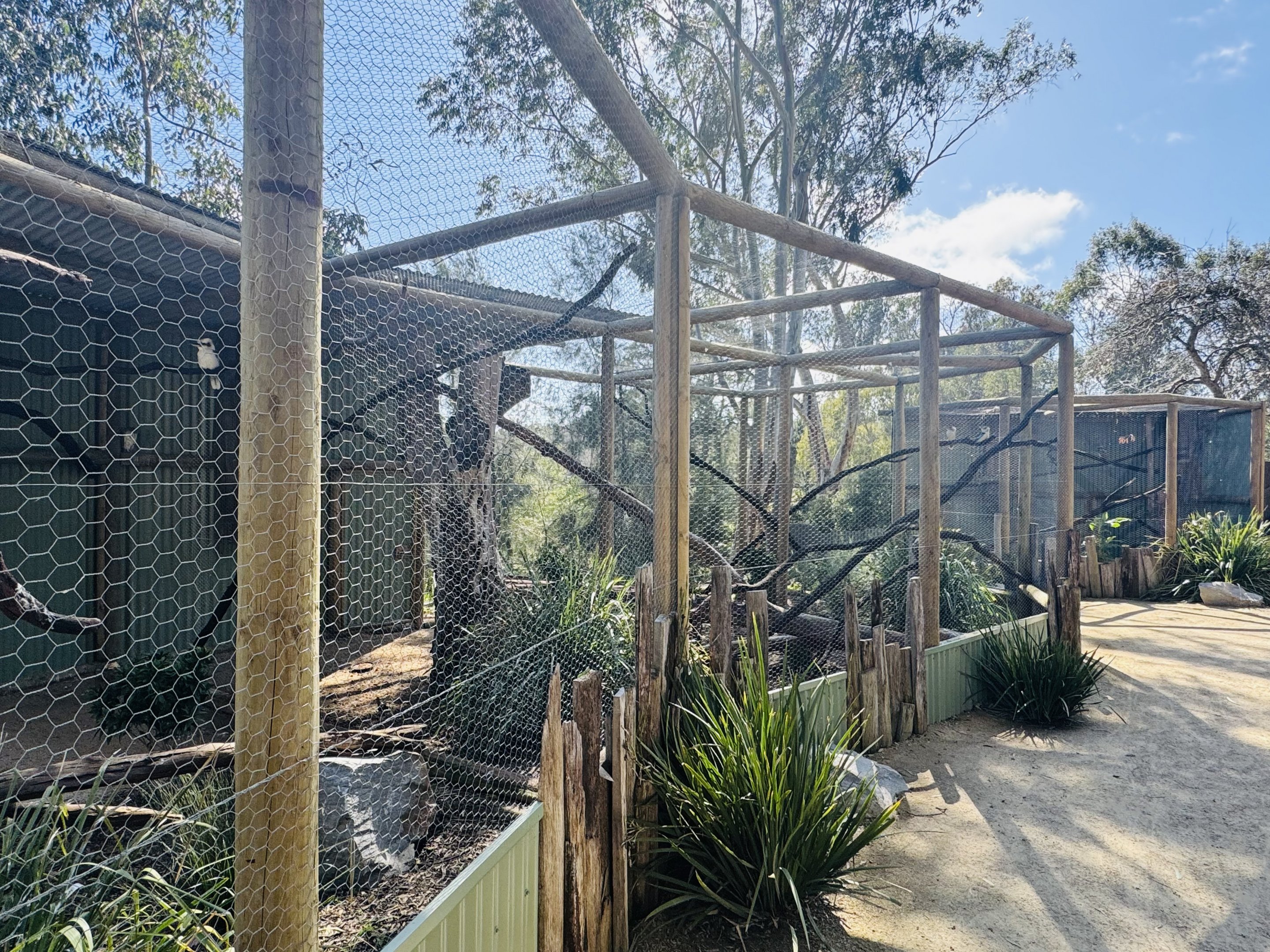 New aviaries