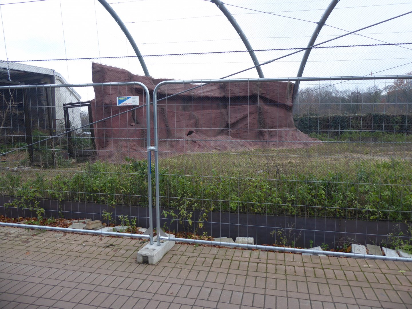 New aviary construction 011219