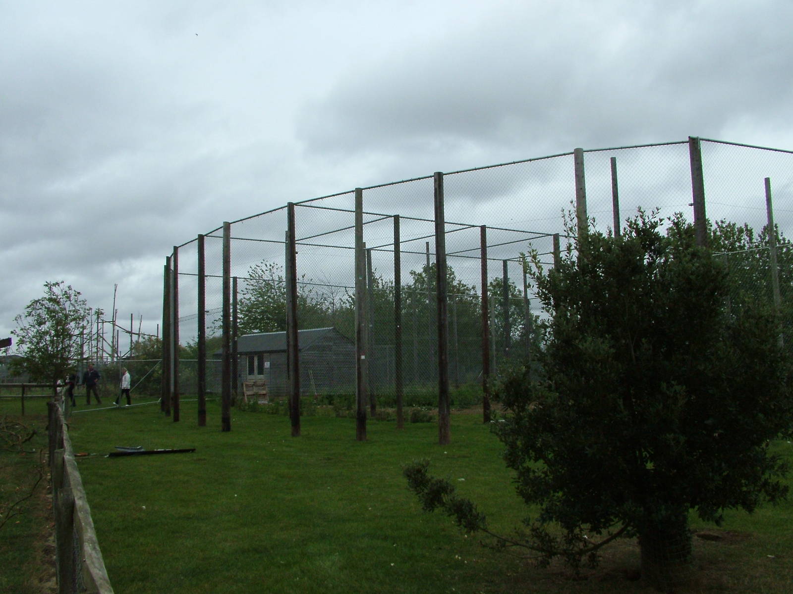 New Aviary Construction at Hamerton, 08/10/11