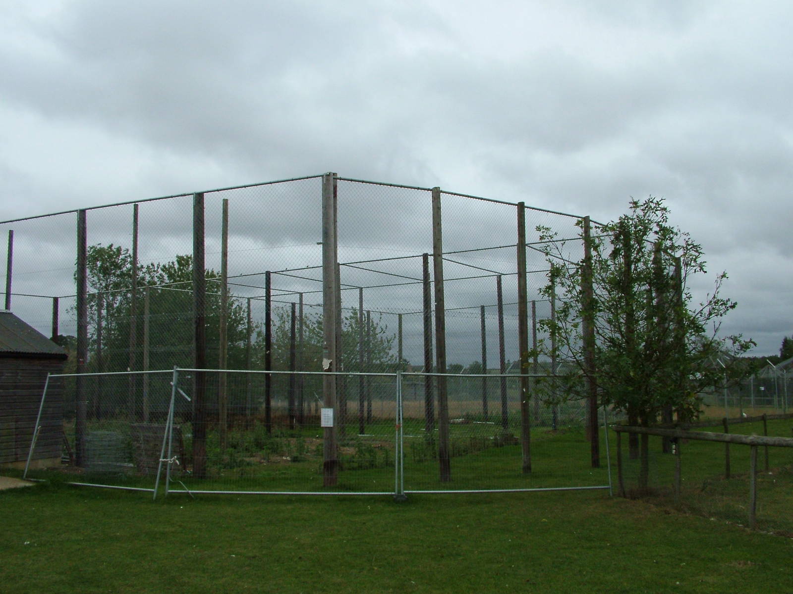 New Aviary Construction at Hamerton, 08/10/11