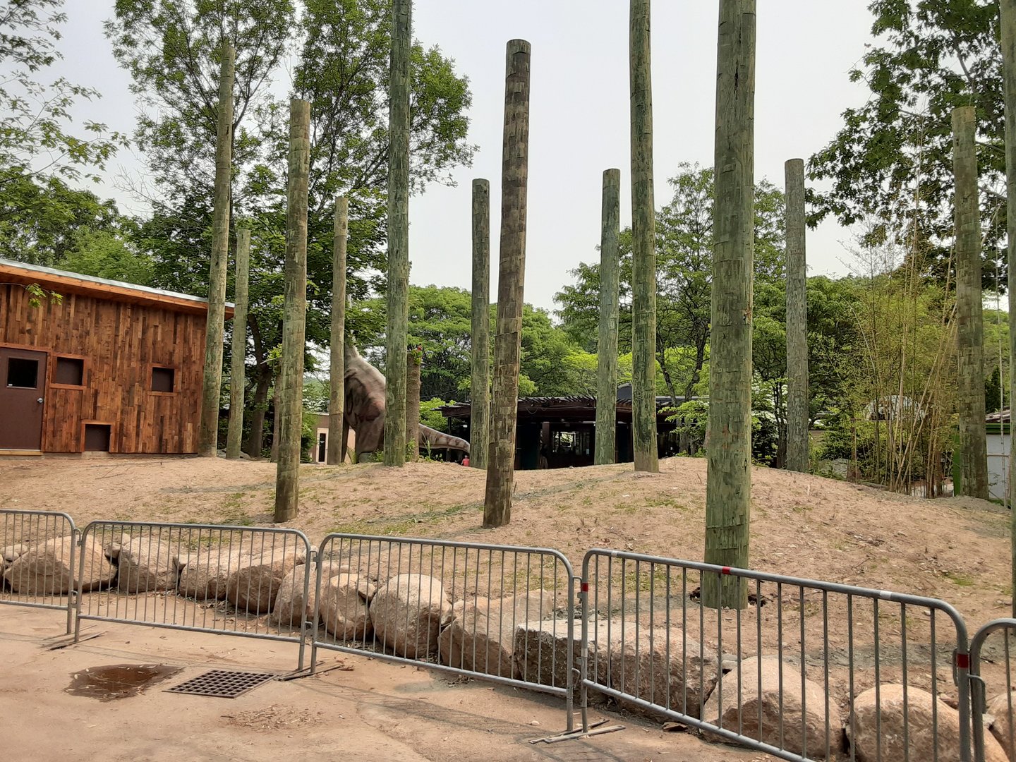 New Aviary Construction