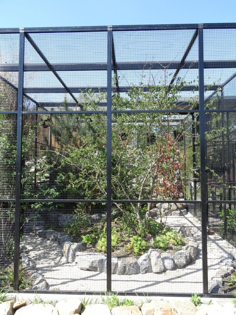 New aviary for European birds, now finished