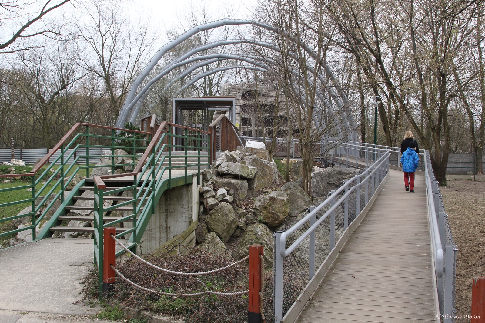 New aviary for Griffon Vultures