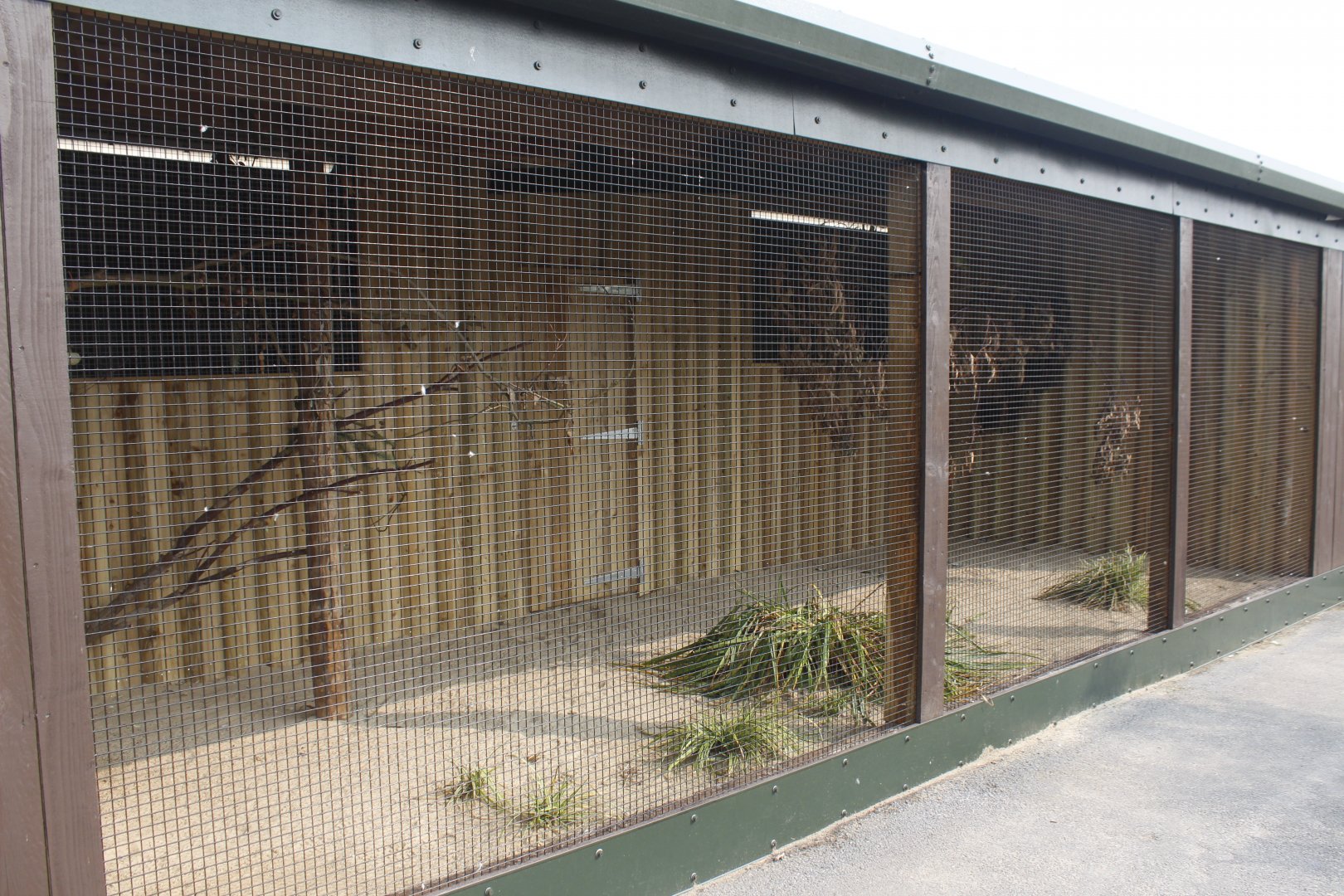 New aviary for prince of Wales parakeet