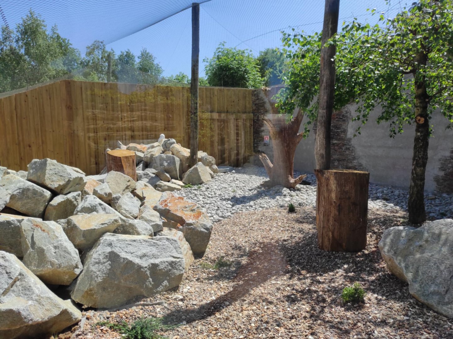 New aviary for snowy owls