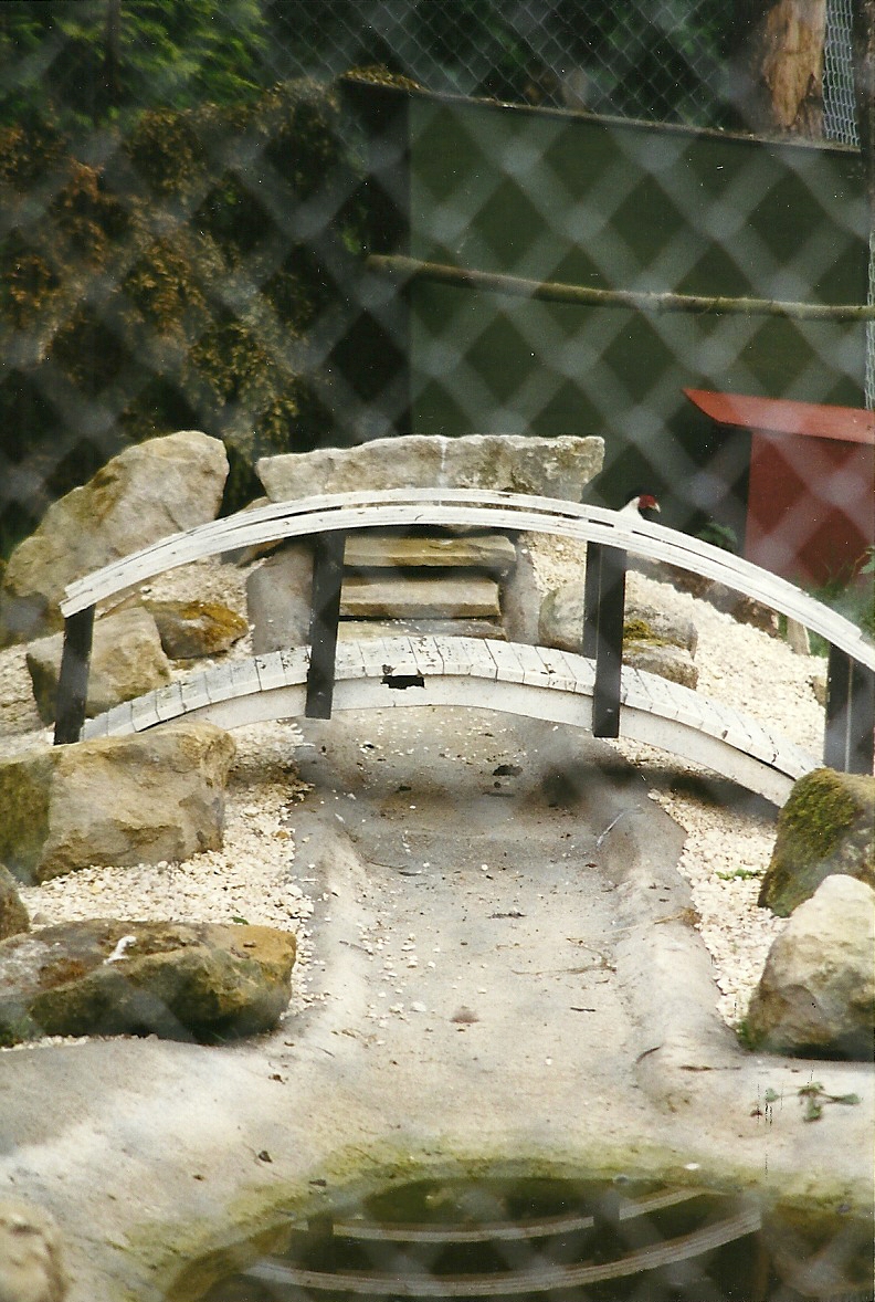 New aviary for wading birds 14th August 1999