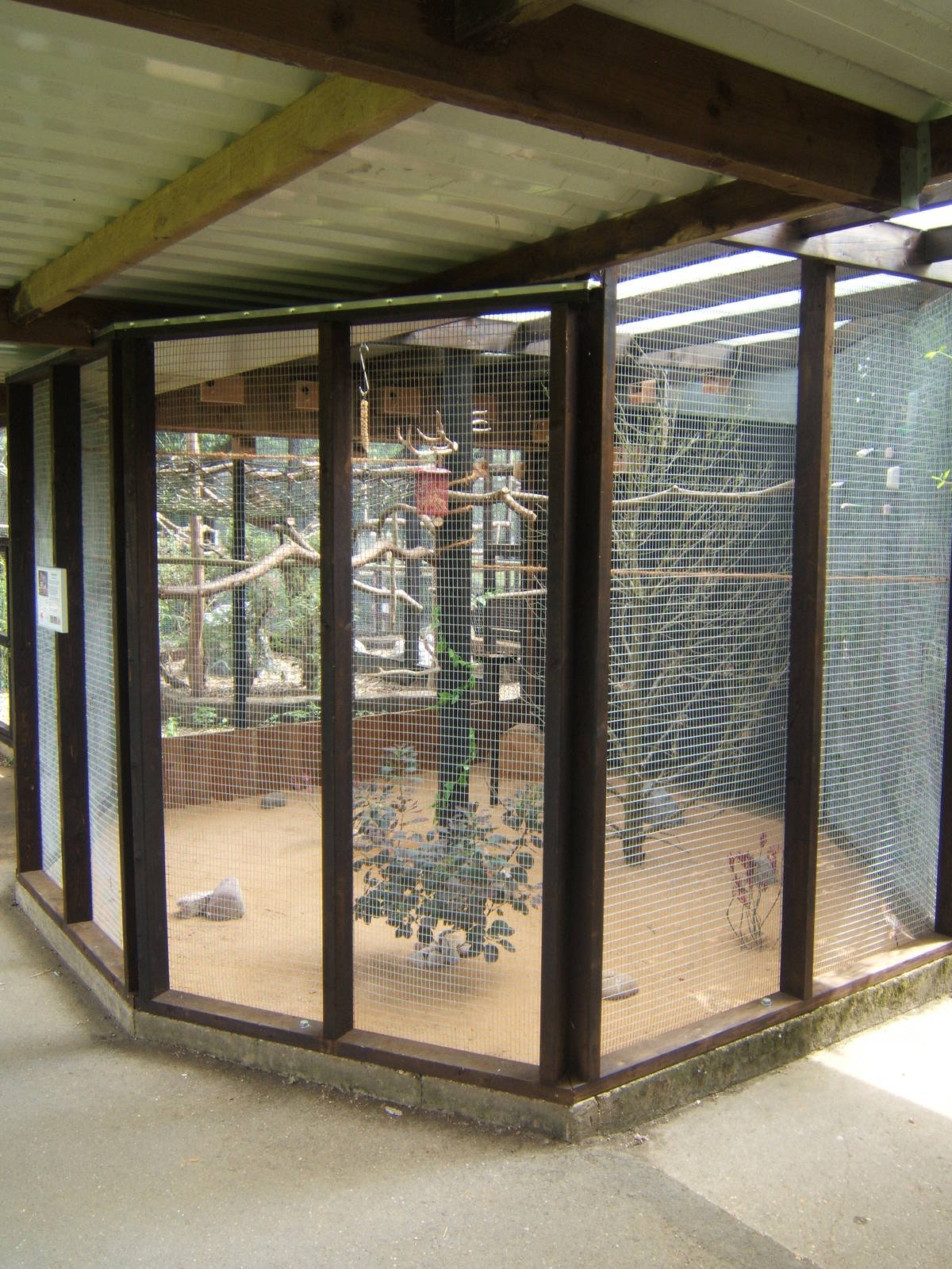 New aviary for Zebra Finch