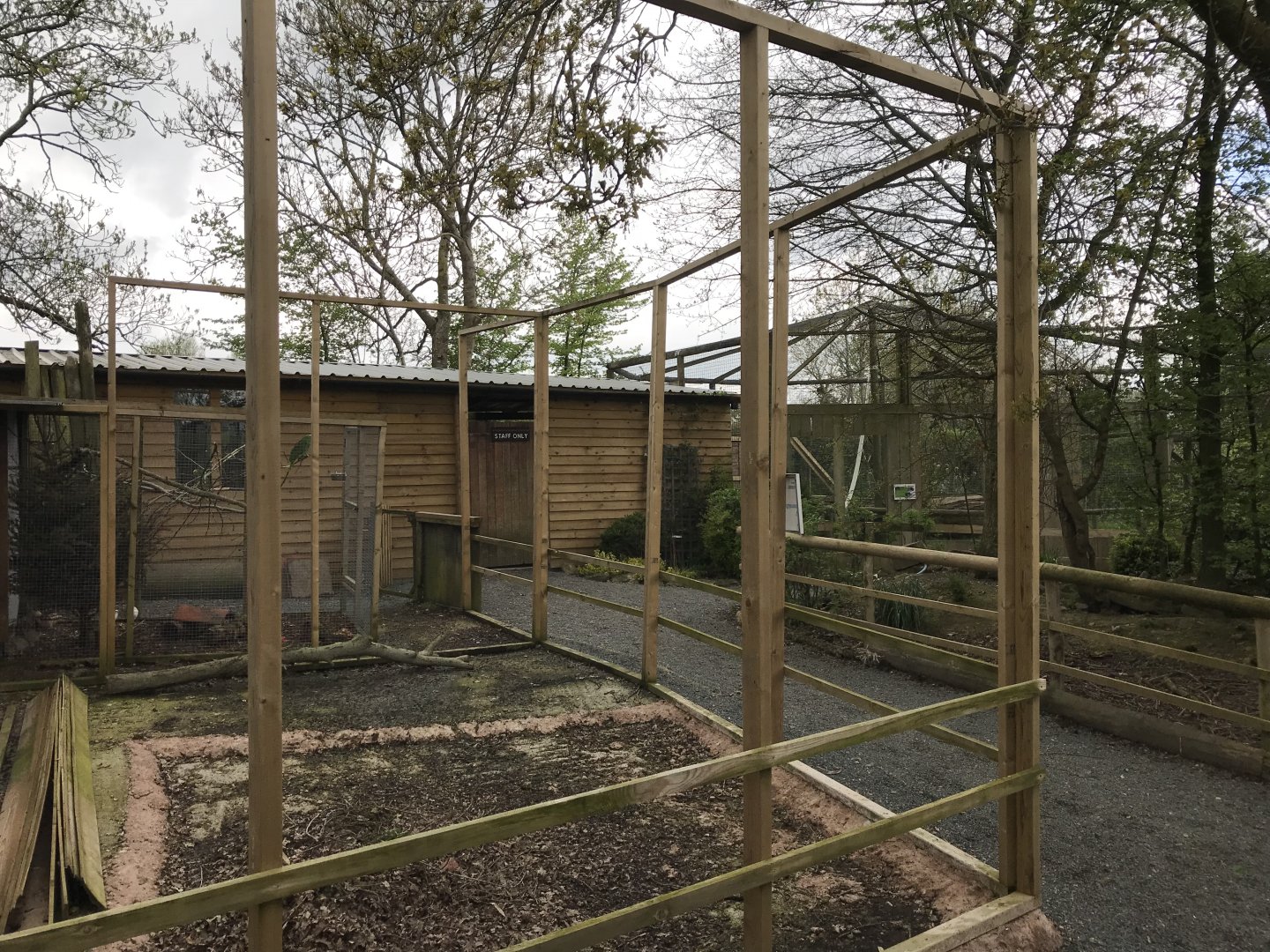 New aviary in development 280418