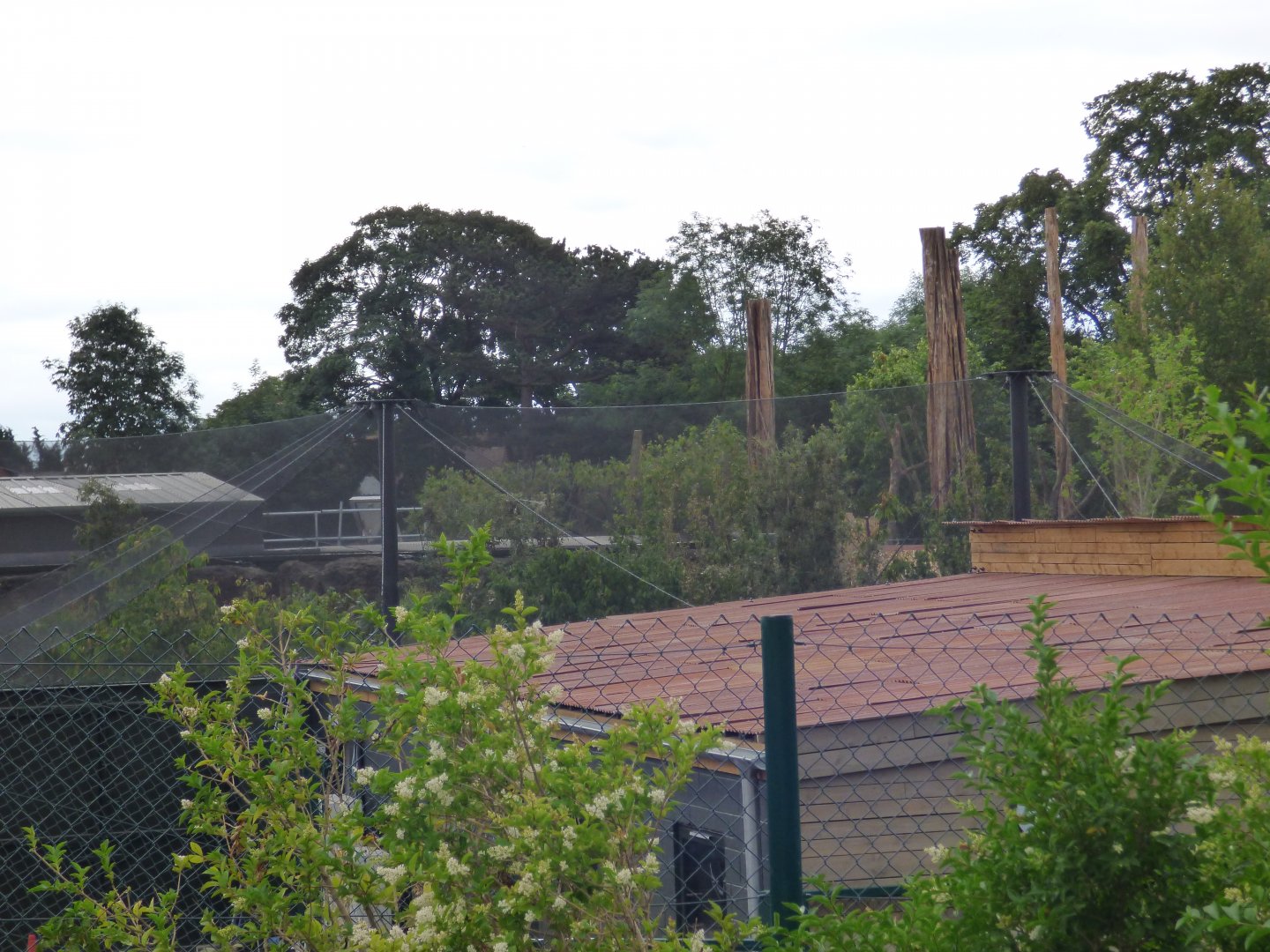 New Aviary in Islands