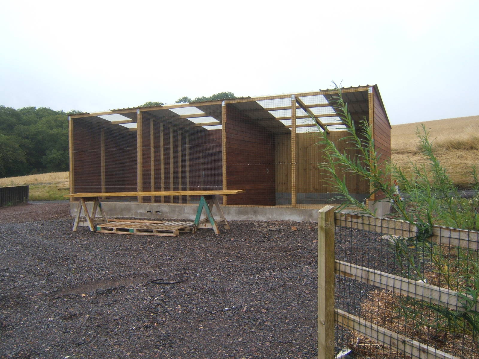 New aviary`s under construction