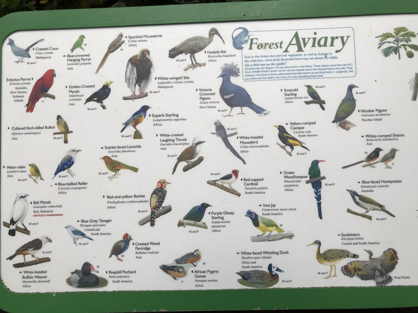 New Aviary Signage with New Species