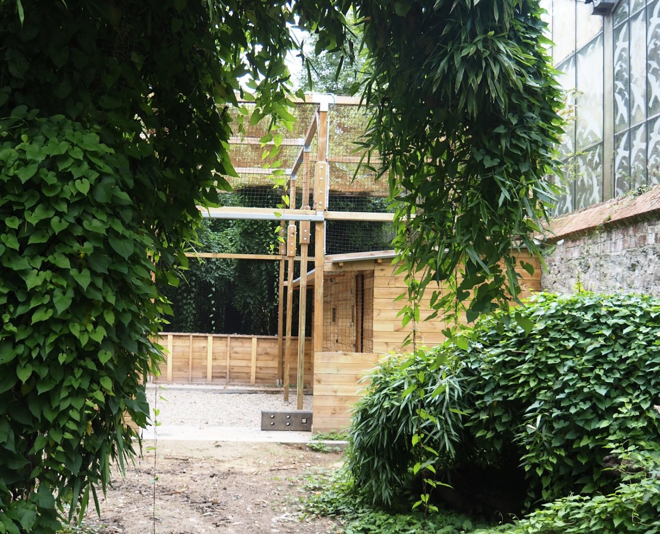 New aviary under construction near the entrance of the Oasis greenhouse, 2024-09-17