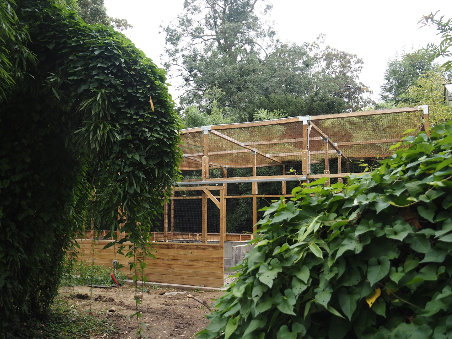 New aviary under construction near the entrance of the Oasis greenhouse, 2024-09-17