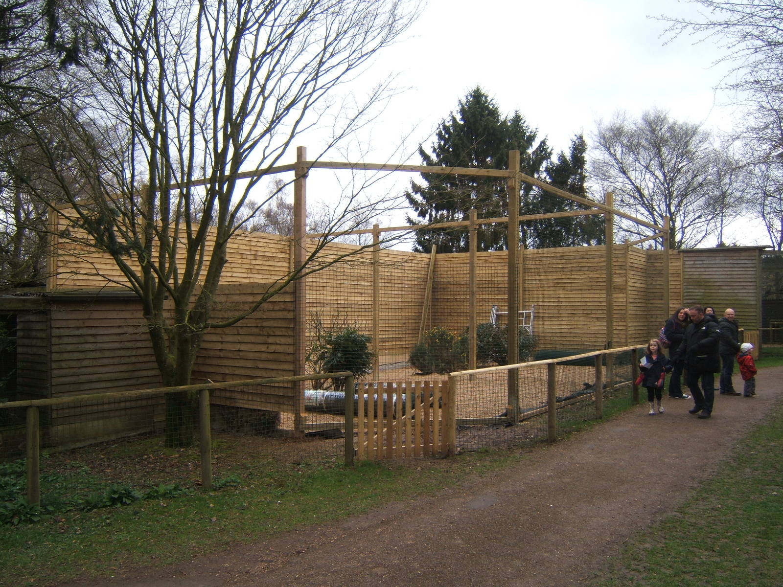 New aviary under construction