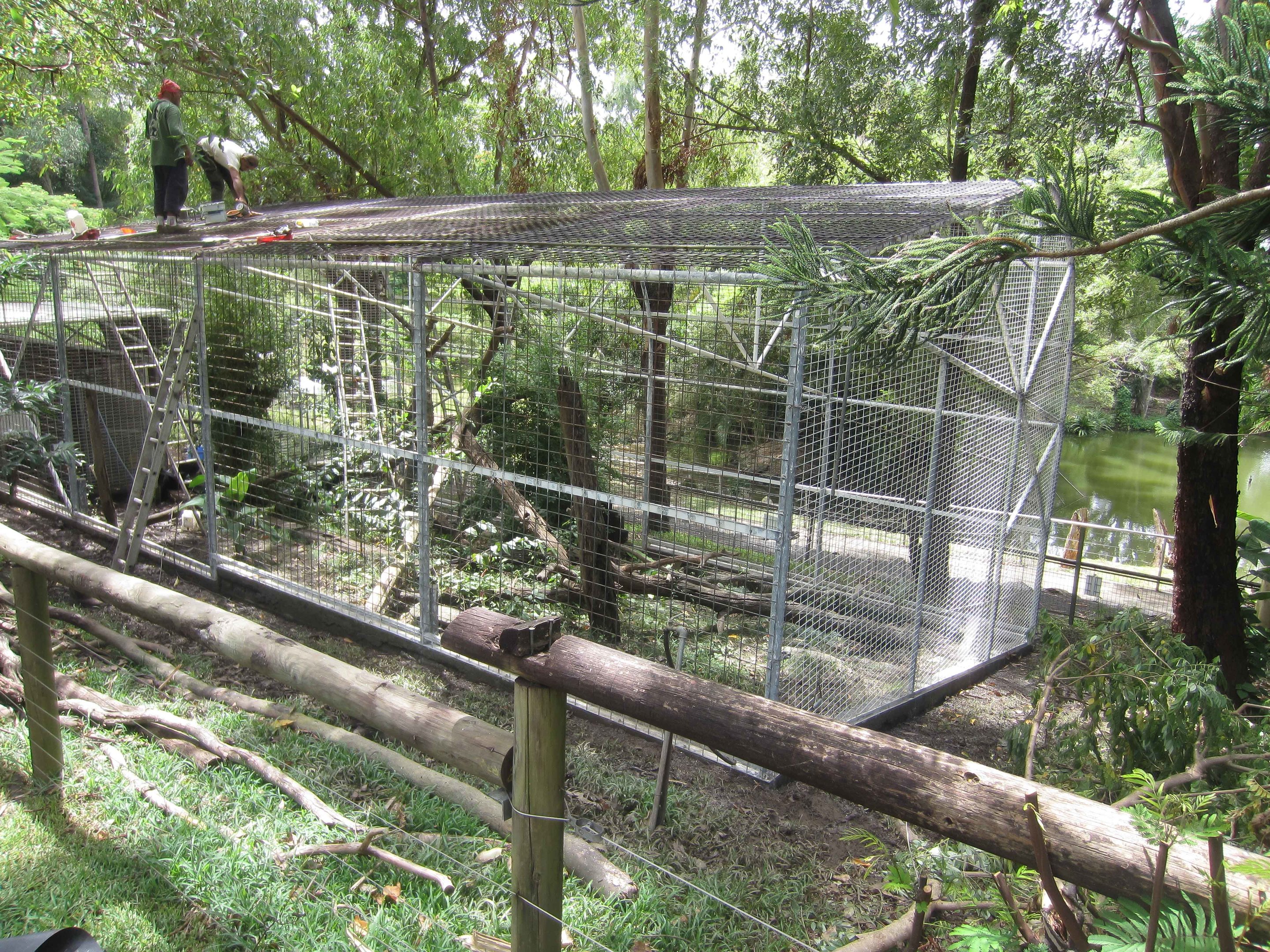 New Aviary under construction