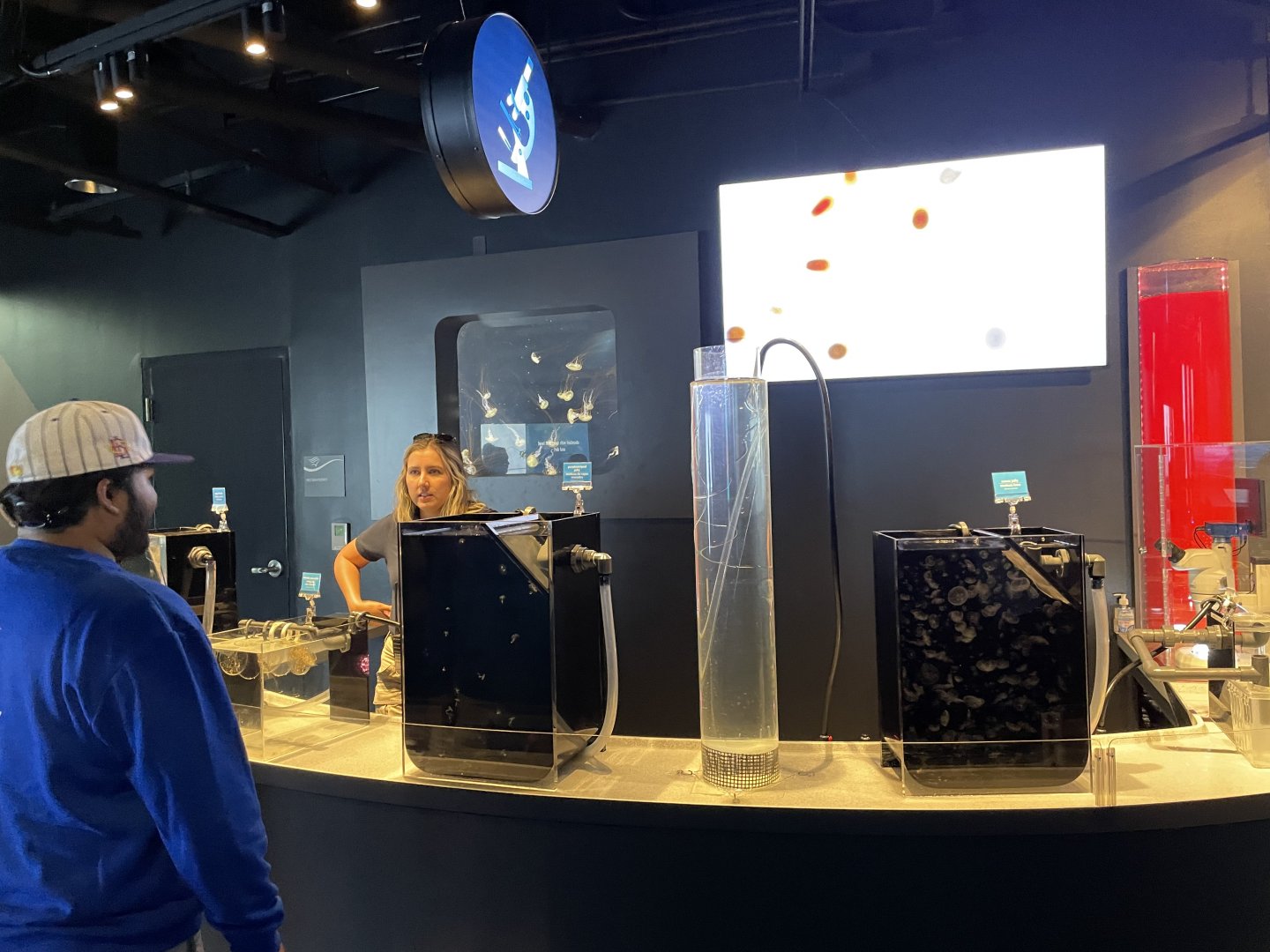 New BABIES exhibit; Jelly fish culture lab