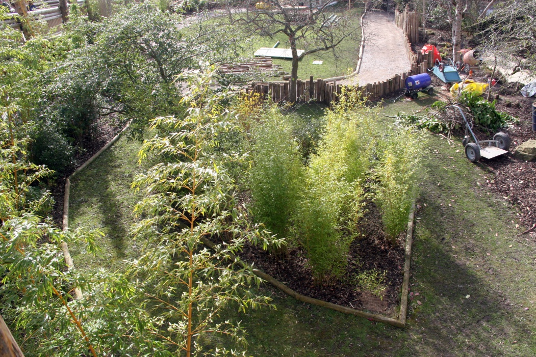 New Babirusa Enclosure - 1