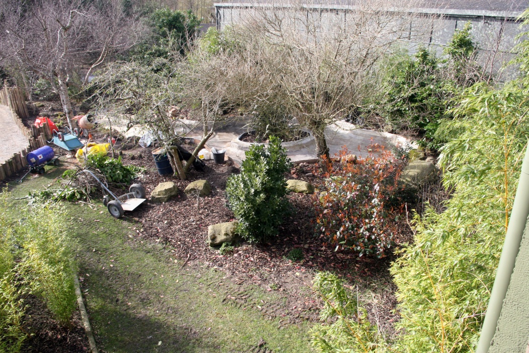 New Babirusa Enclosure - 2