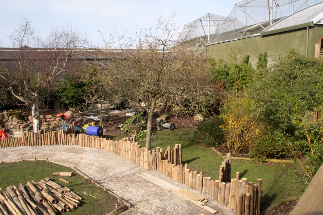 New Babirusa Enclosure - 4