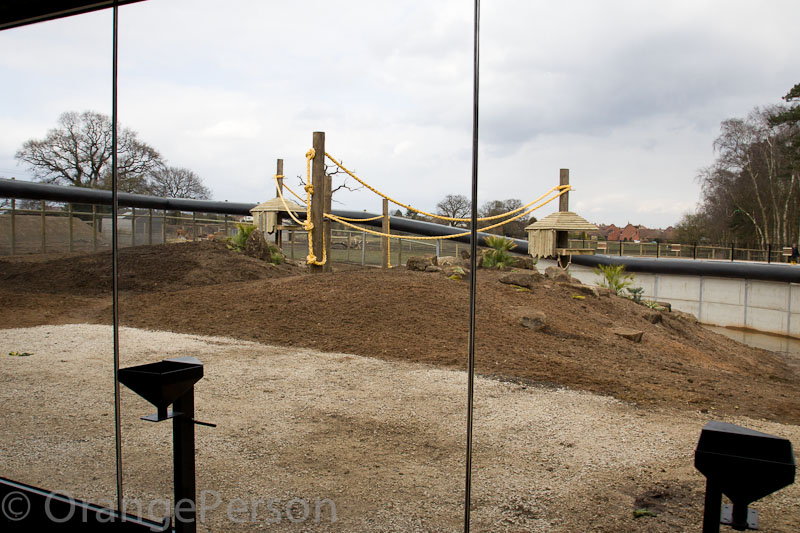 New baboon enclosure