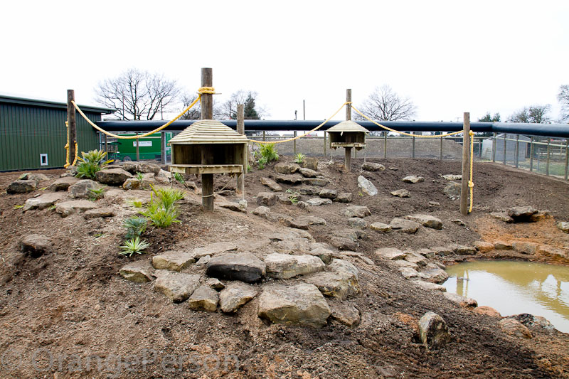 New baboon enclosure