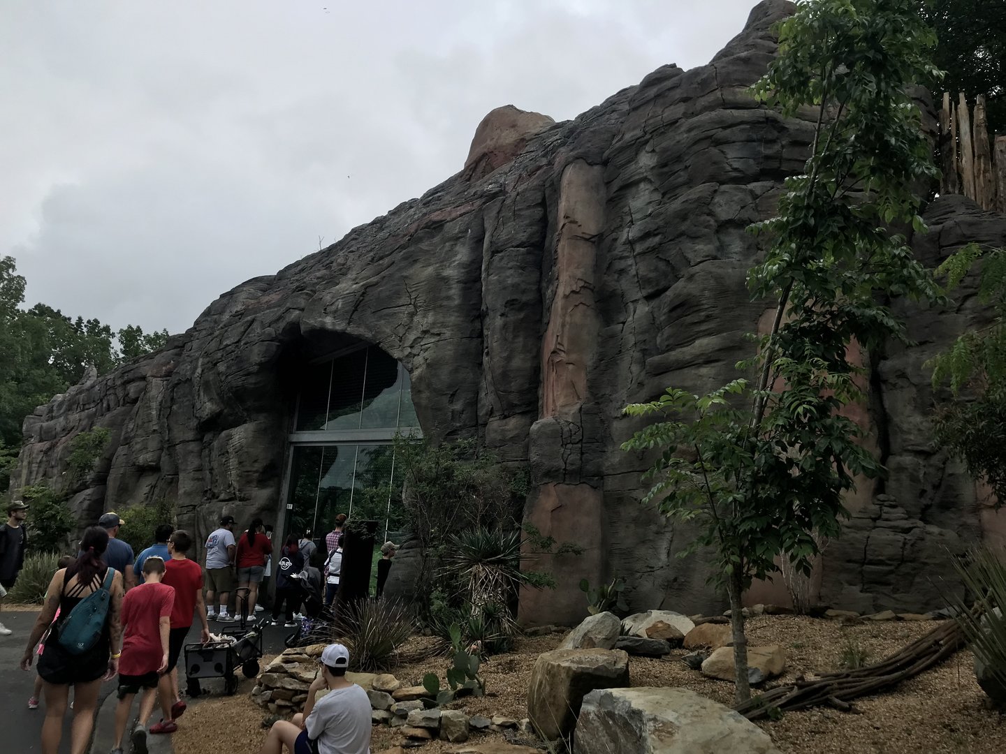New Baboon Exhibit Viewing