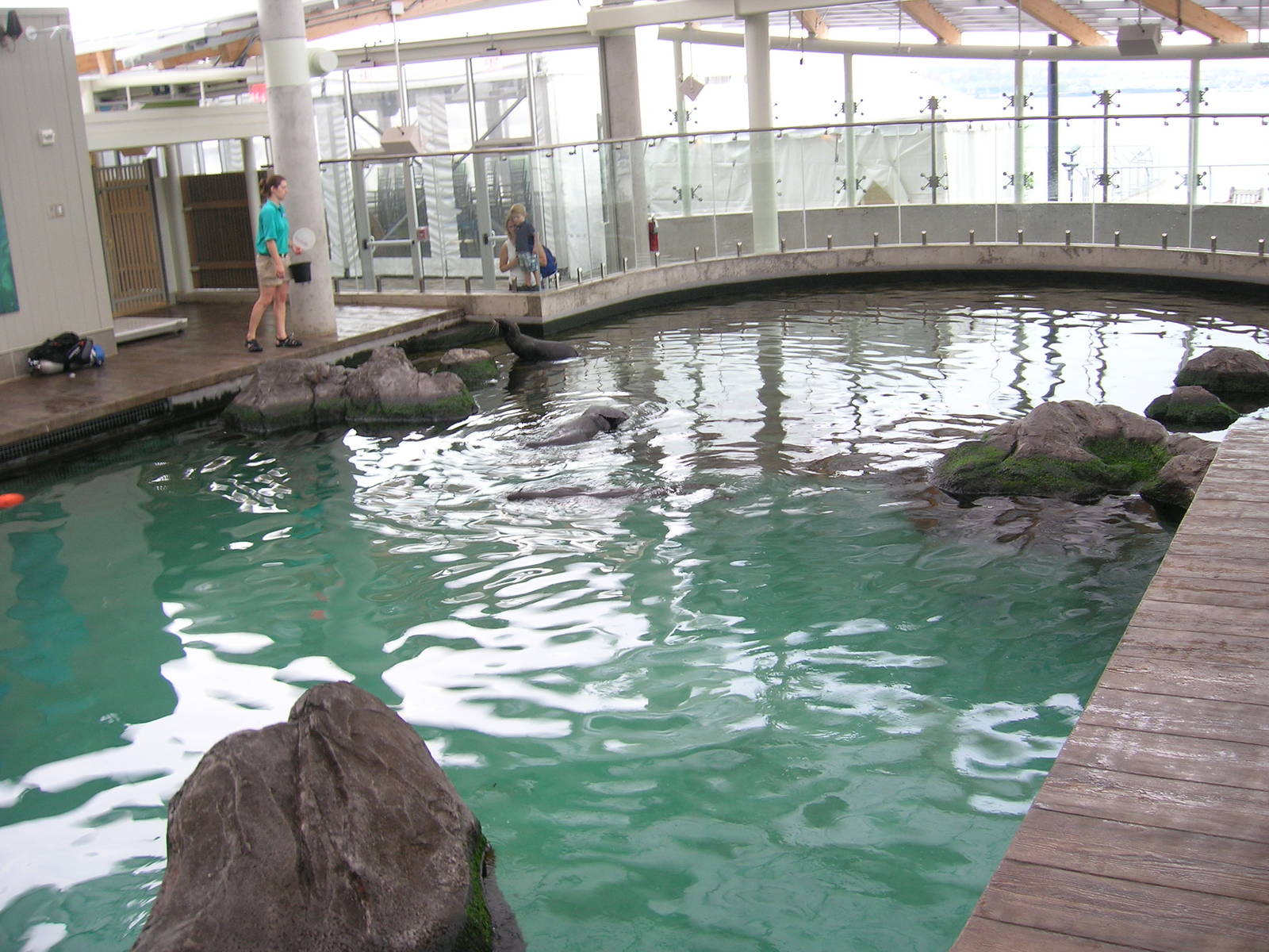 New Balance Foundation Marine Mammal Center