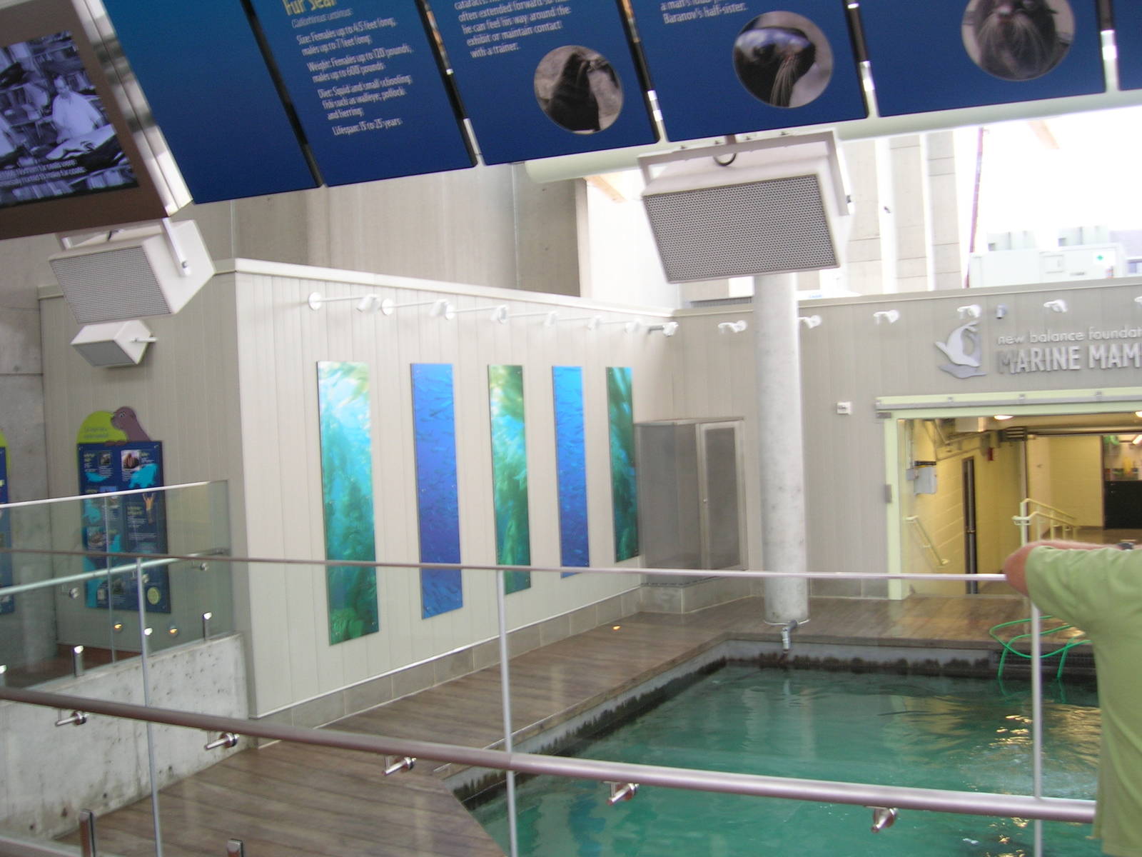 New Balance Foundation Marine Mammal Center