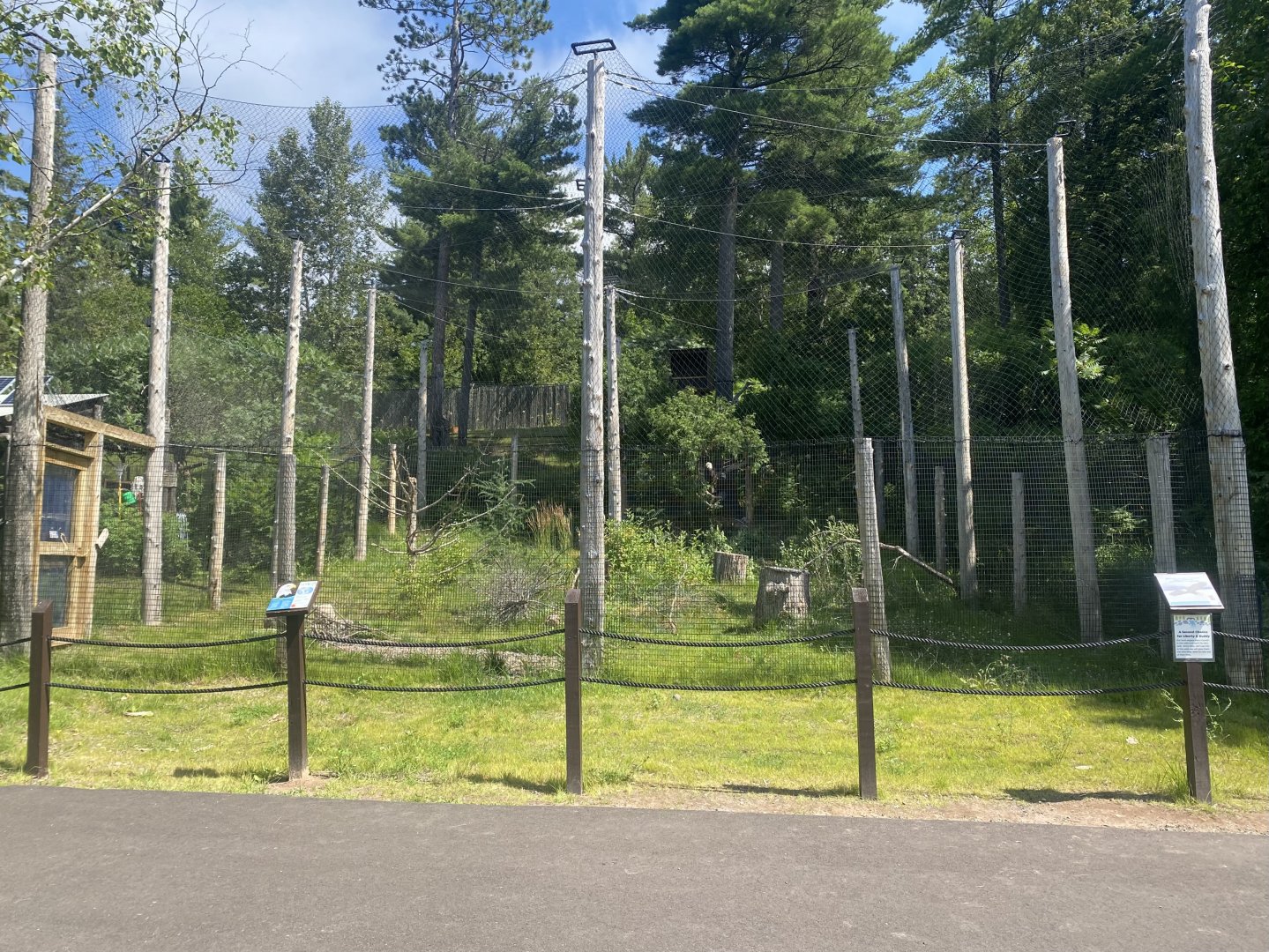 New Bald Eagle Aviary