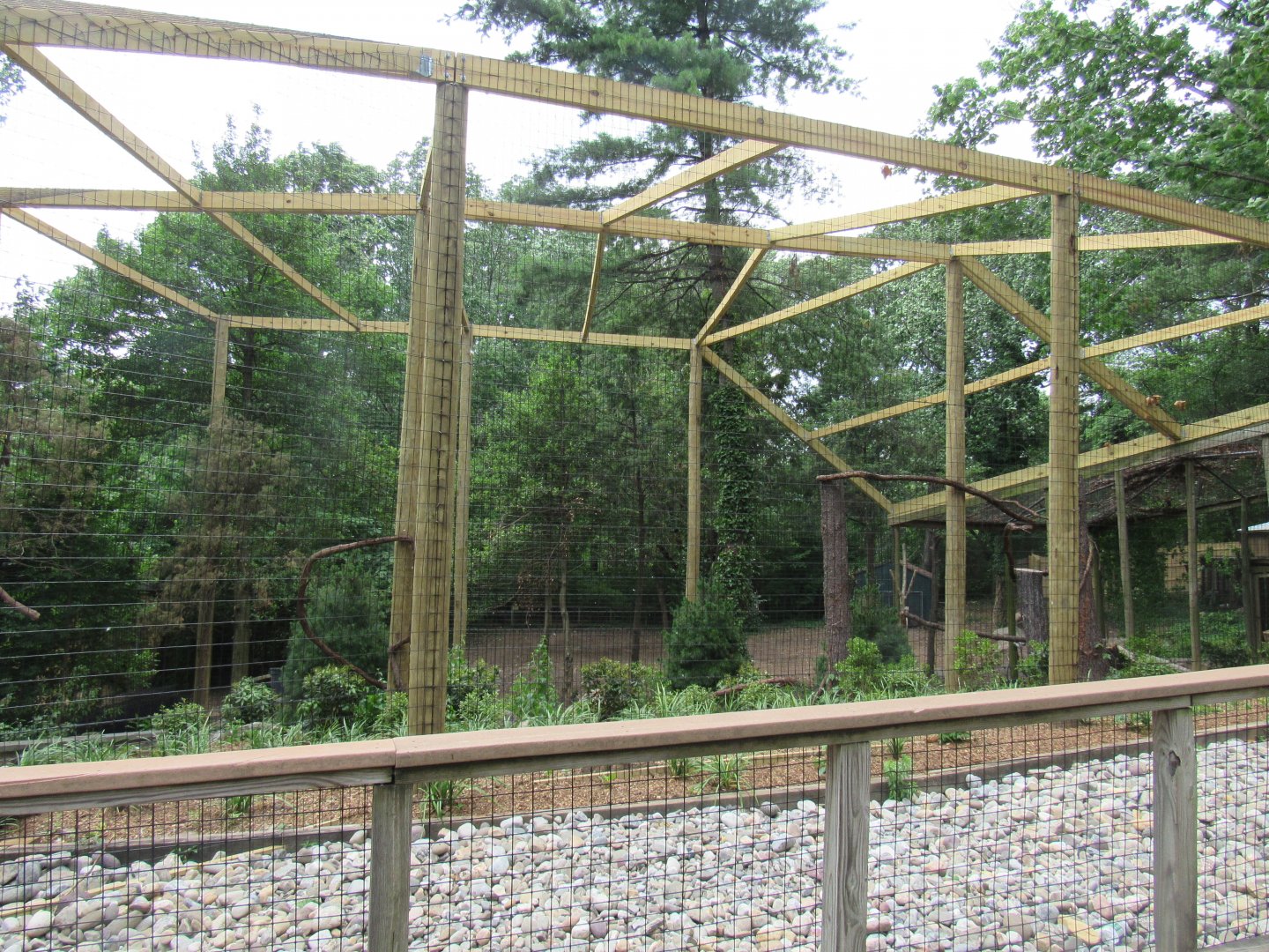 New bald eagle exhibit