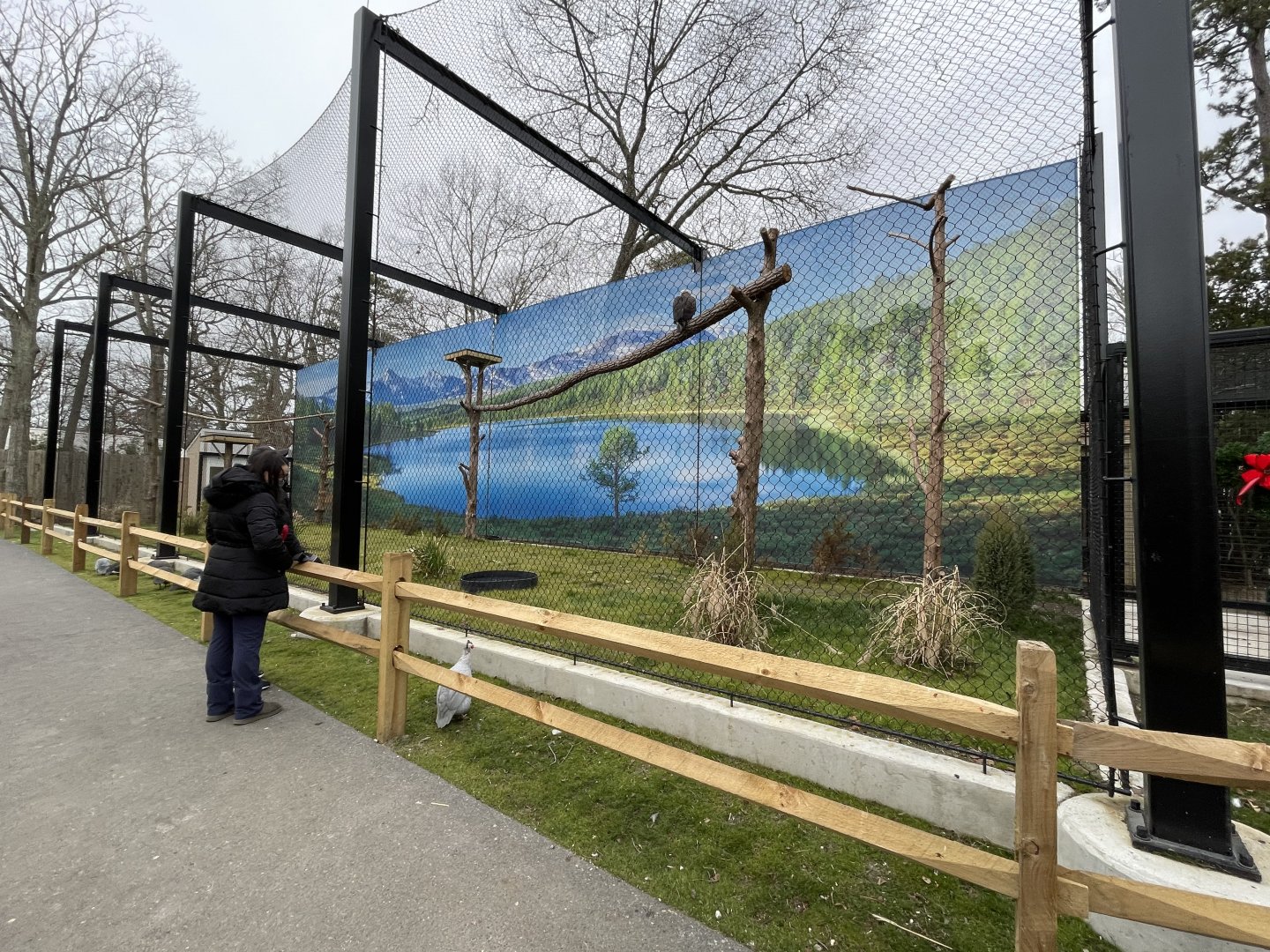 New Bald Eagle Exhibit