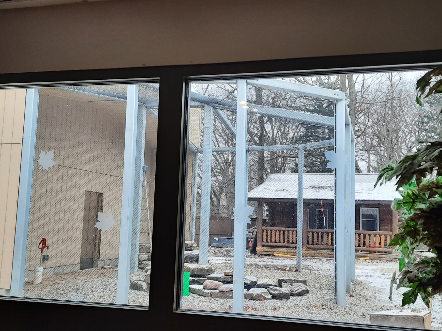 New Bald Eagle Exhibit