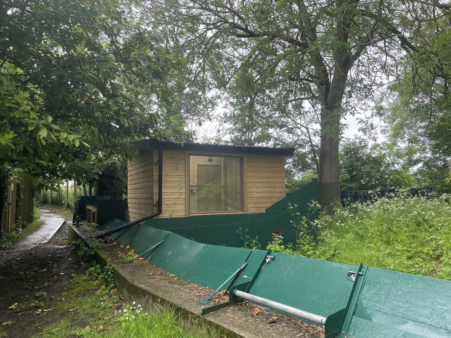 New Banded Mongoose indoor area