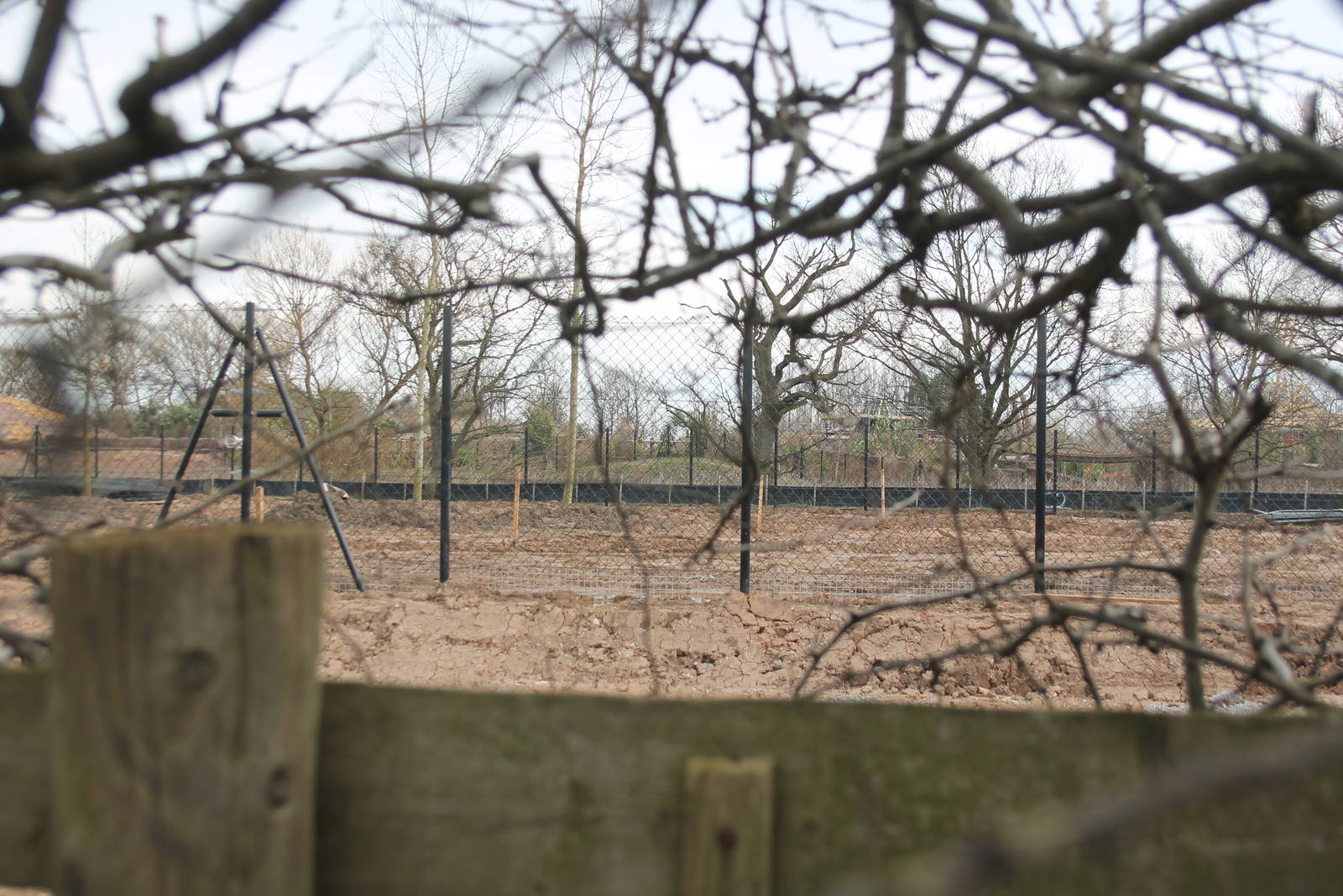 new banteng enclosure Chester Zoo 7 March 2015