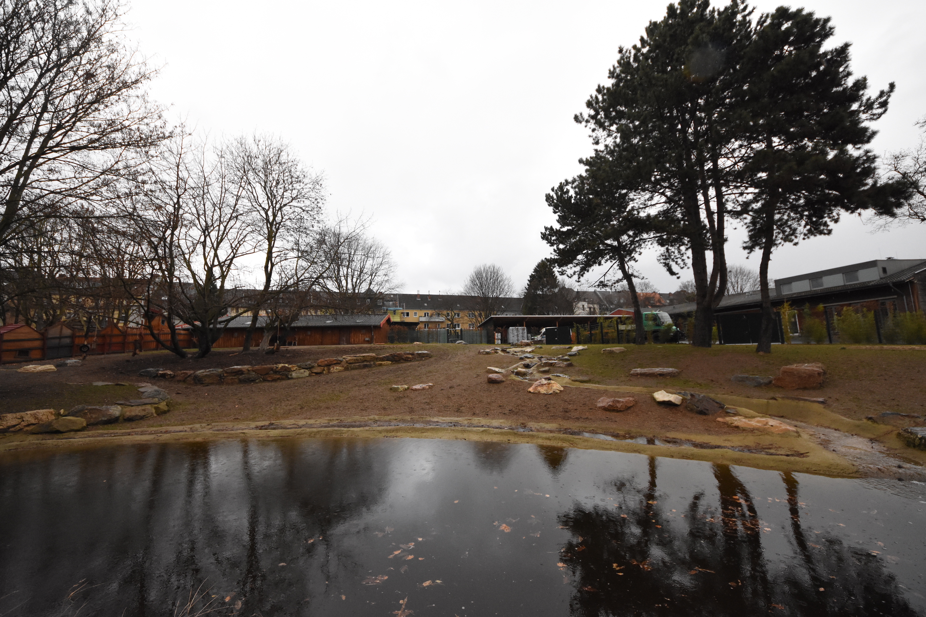 New banteng enclosure