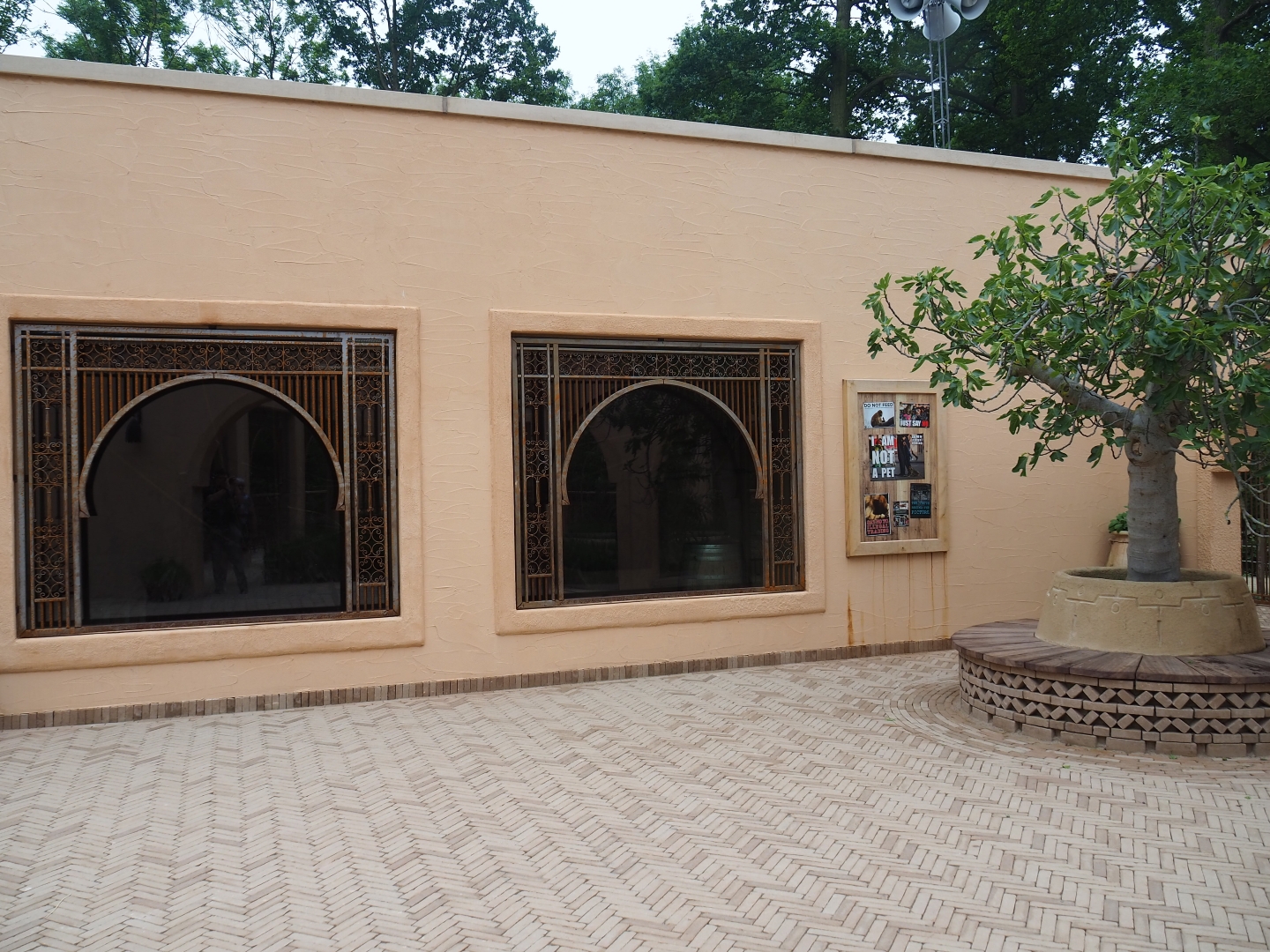 New Barbary macaque exhibit - Indoor exhibit viewing area, 2019-06-26