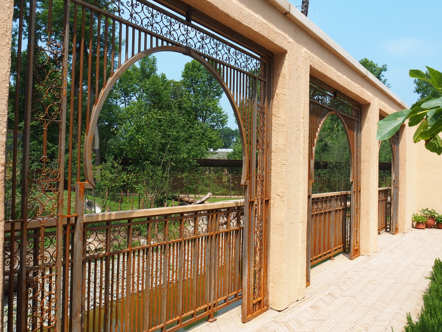 New Barbary macaque exhibit - Outdoor exhibit viewing areas, 2019-06-26