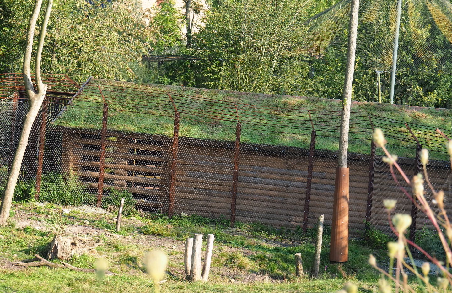 New barn between The Last Frontier and the raptor aviaries, seen across the bear/wolf exhibit, 2021-09-02