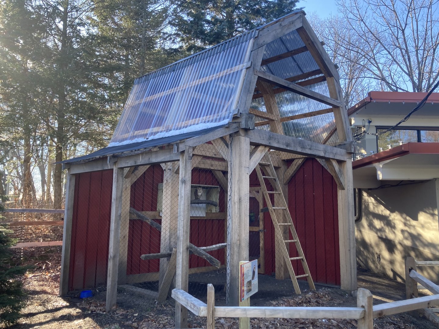 New Barn Owl Exhibit