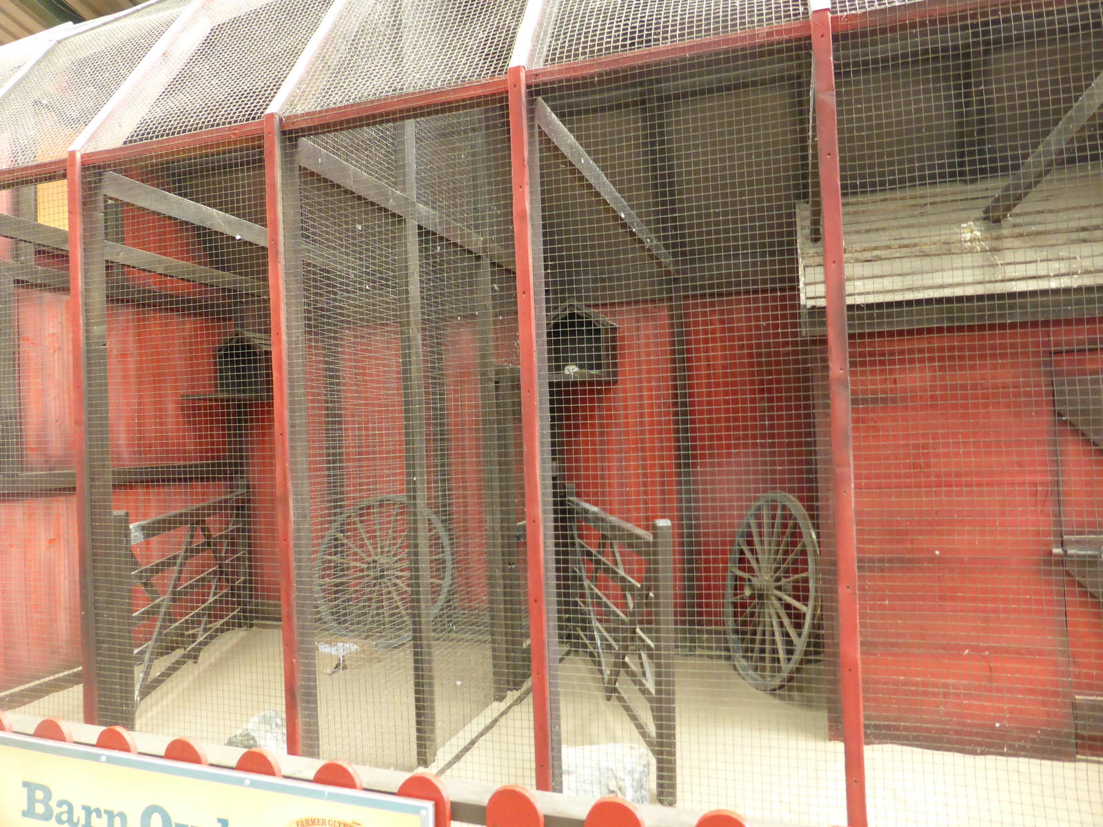 New Barnn Owl aviaries