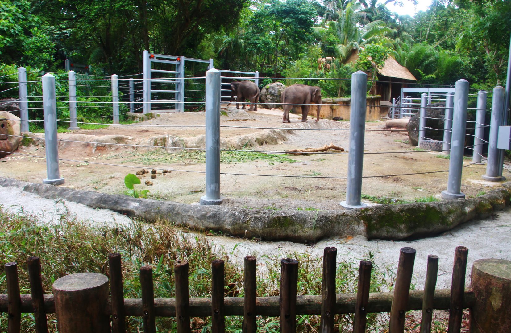 New barriers at Asian elephant exhibit