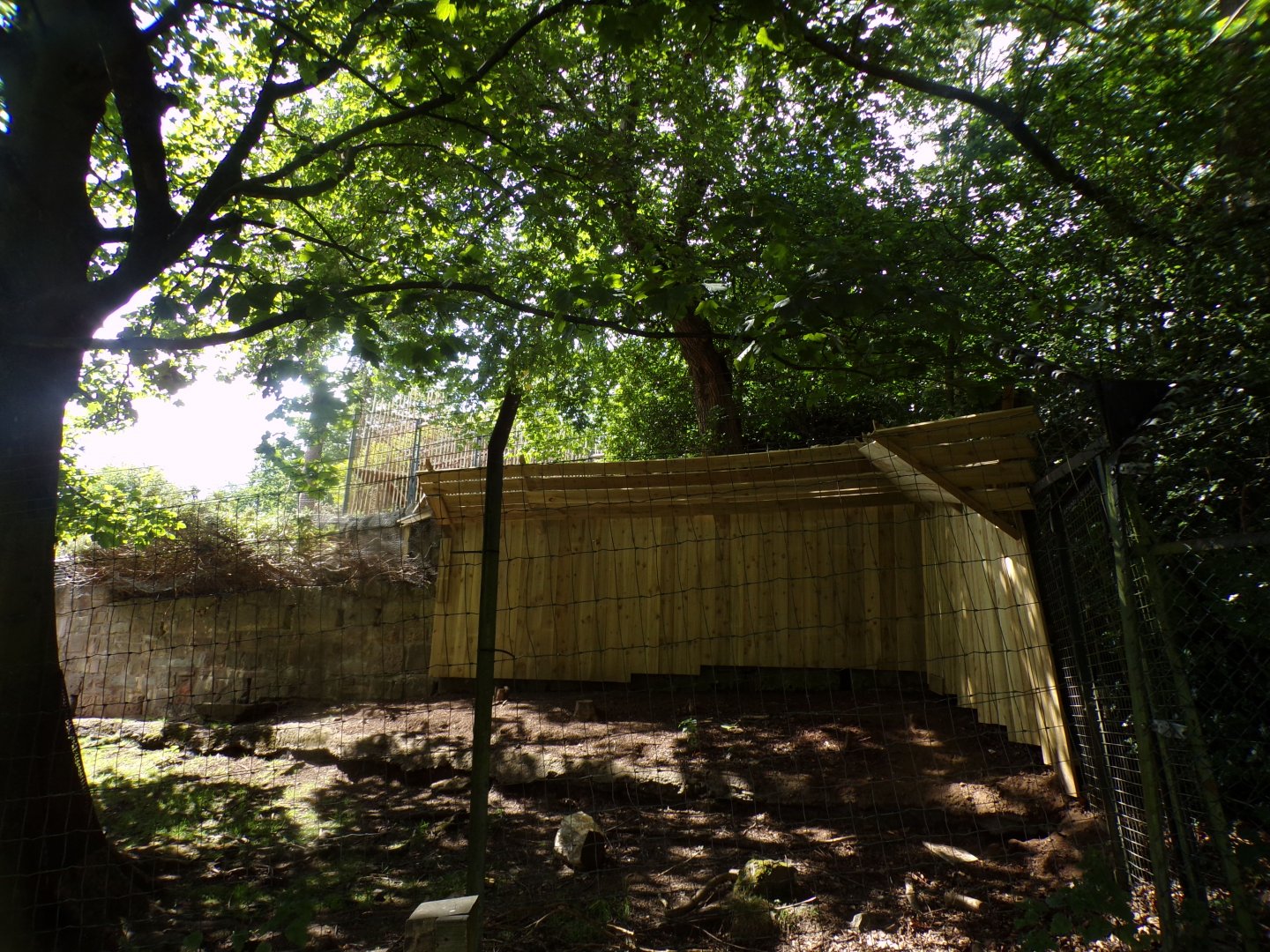 New barriers in markhor area 18.7.25