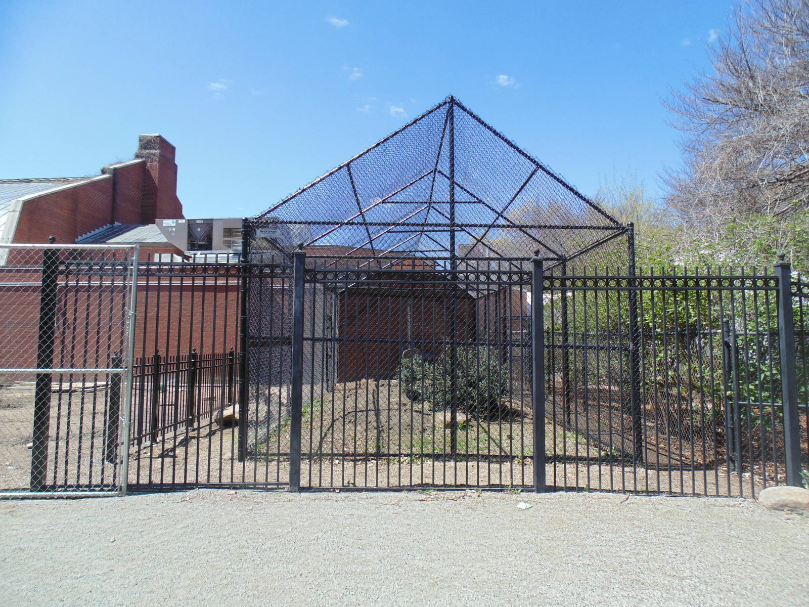 New Bateleur Eagle Exhibit