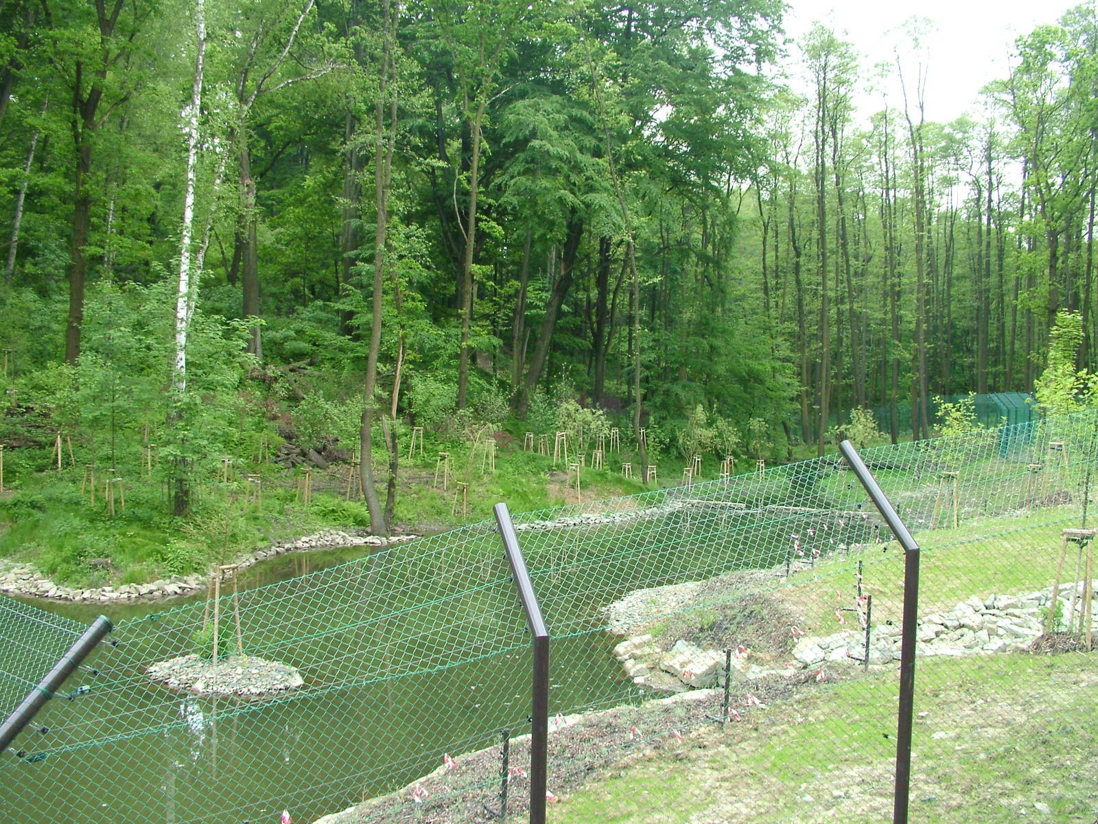 New Bear and Langur exhibit at Ostrava, 29/05/10