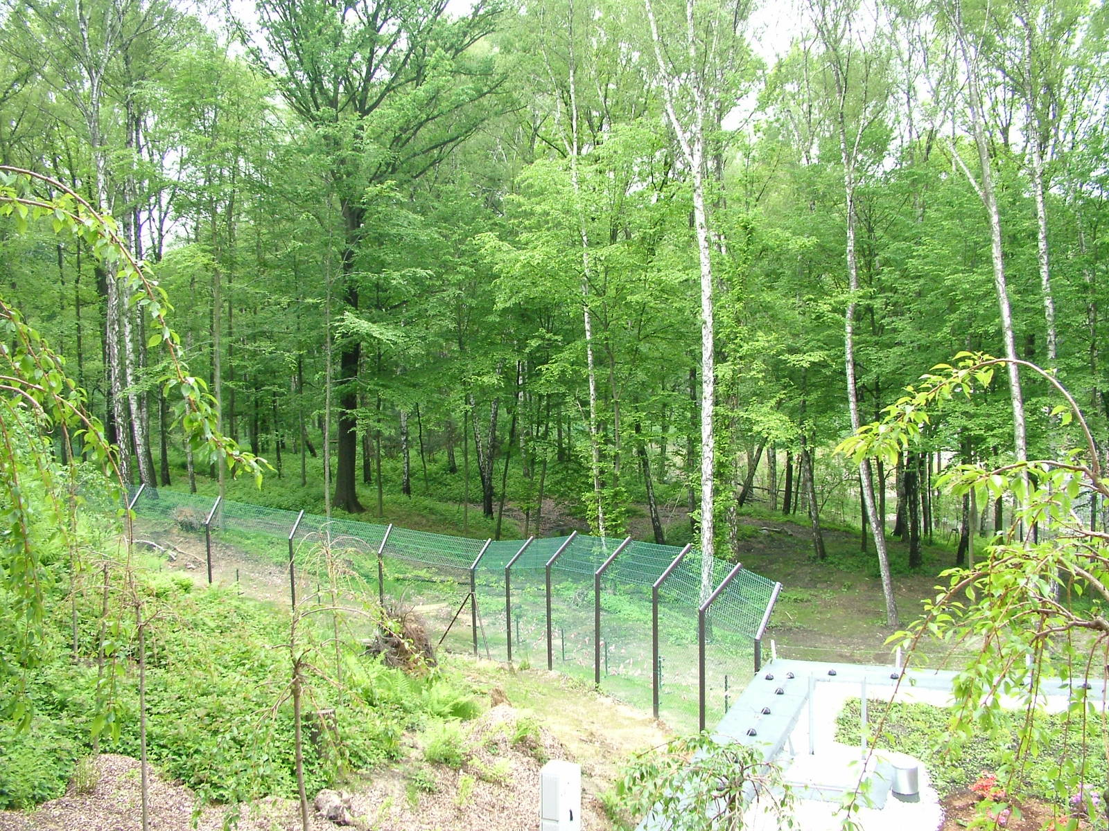 New Bear and Langur exhibit at Ostrava, 29/05/10