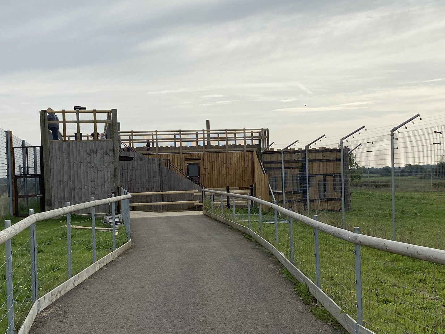 New bear / dingo viewing platform, Hamerton UK