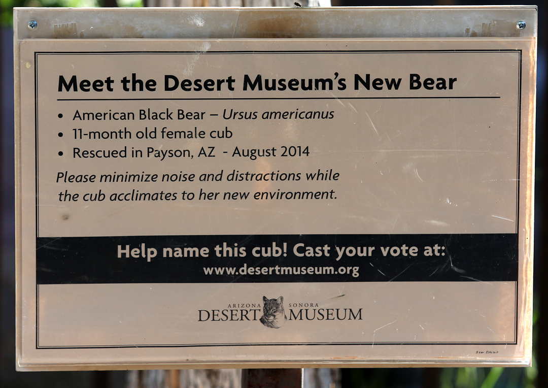 new bear info sign